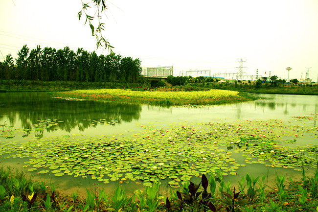 合肥斑鳩堰河生態(tài)水處理工程