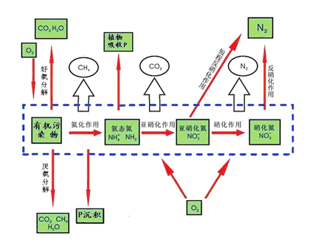 敘述微生物技術(shù)發(fā)酵工程的現(xiàn)代史